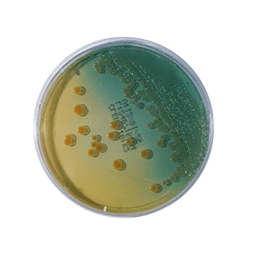 FVRSFWERFERFW4RF5F CRECETGWRFVE