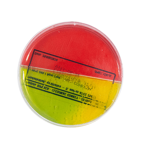 FWQ5GWGQE6GWFR6HQ4W24FQW4FQE